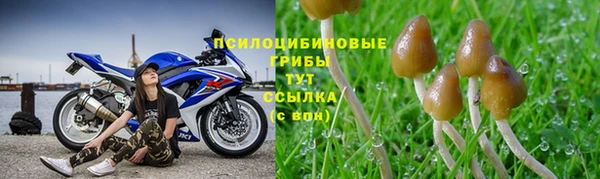 бошки Волоколамск